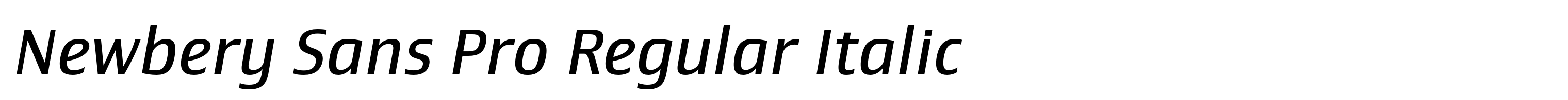 Newbery Sans Pro Regular Italic